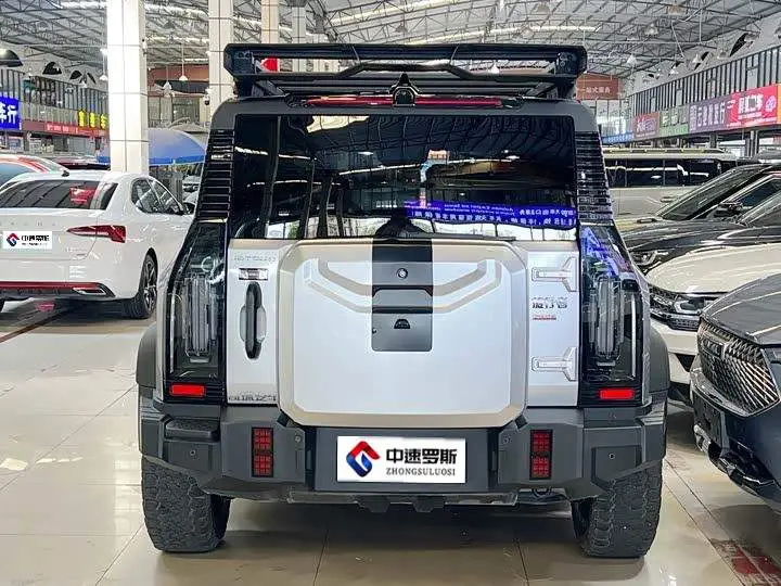 Jetour Traveler 2024 2.0T 4WD Silver Dragon Wing photo